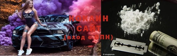 mix Богородицк