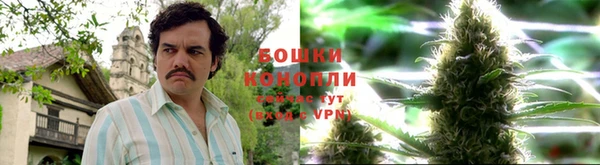 сатива Богданович