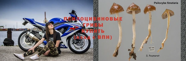 сатива Богданович