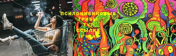 сатива Богданович