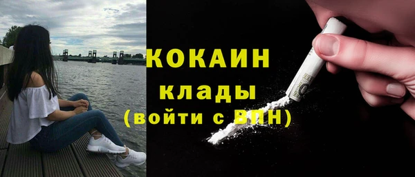 mix Богородицк