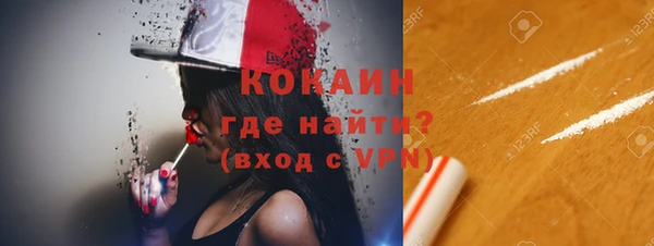 сатива Богданович