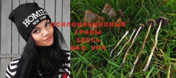 MESCALINE Богородск
