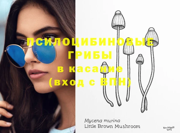 mix Богородицк