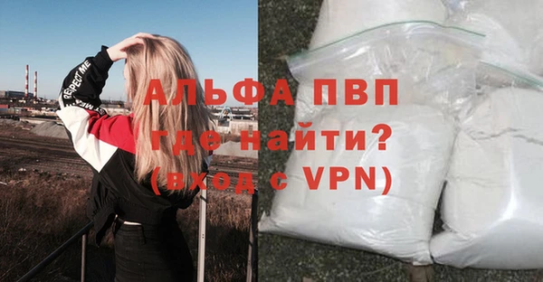 сатива Богданович