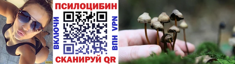 Купить закладки  Ахтубинск  Псилоцибиновые грибы GOLDEN TEACHER 